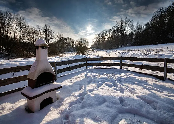 Ferienhaus Szalejowka *